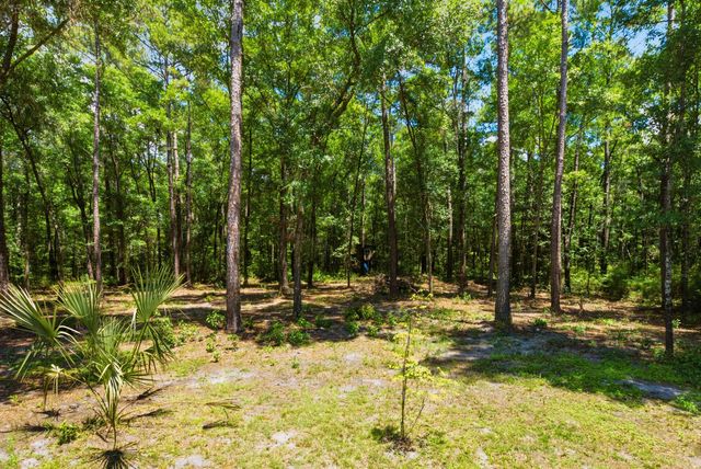 184 Hidden Cove Lane, Ridgeville, SC 29472