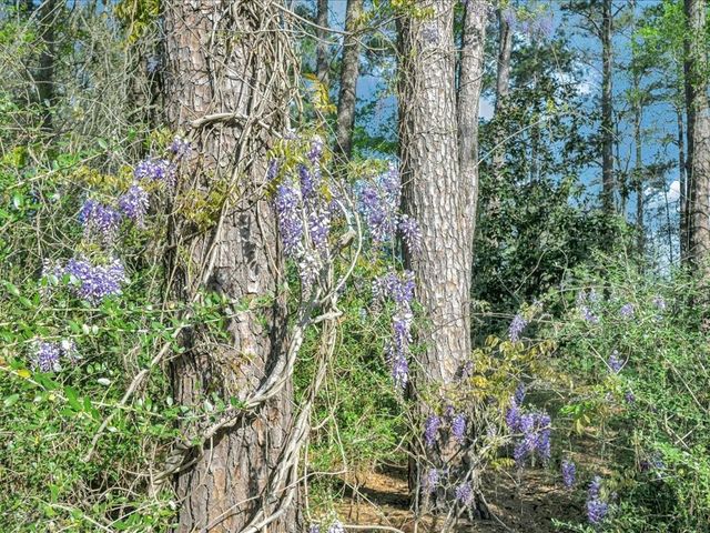 19506 State Highway 7 E, Kennard, TX 75847