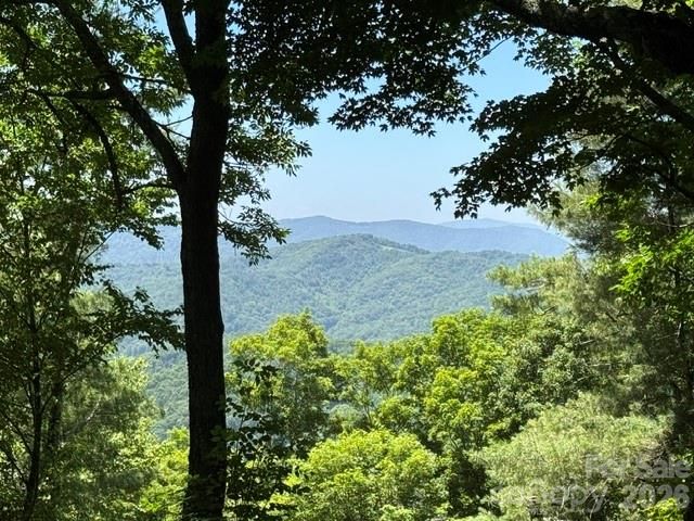 1209 Mckinney Gap Drive, Mars Hill, NC 28754