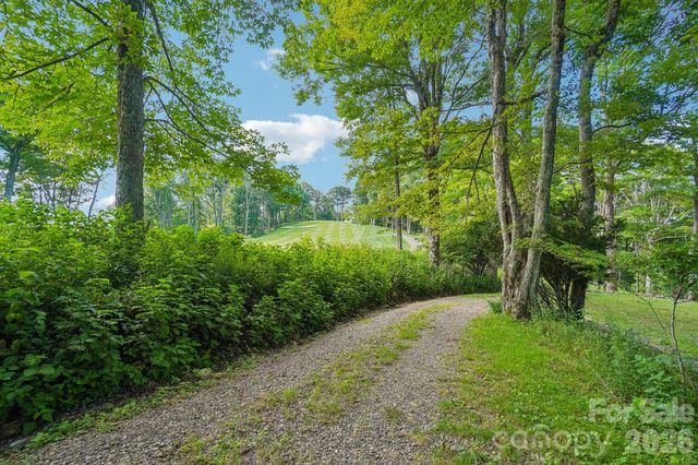 1209 Mckinney Gap Drive, Mars Hill, NC 28754