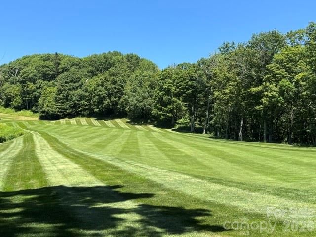 1209 Mckinney Gap Drive, Mars Hill, NC 28754