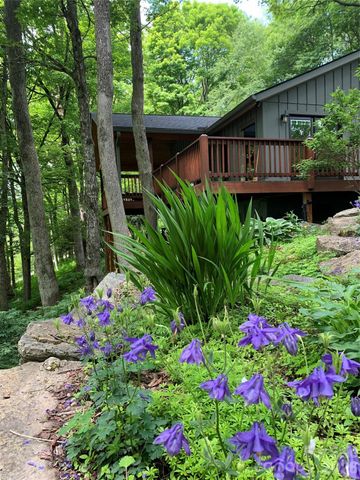 1209 Mckinney Gap Drive, Mars Hill, NC 28754