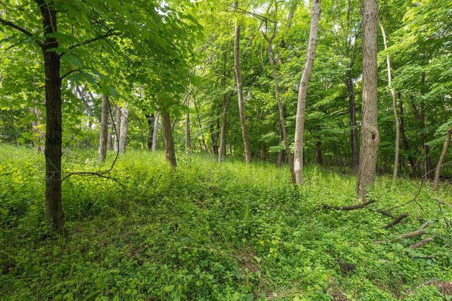3470 Hamilton Avenue, Wayzata, MN 55391
