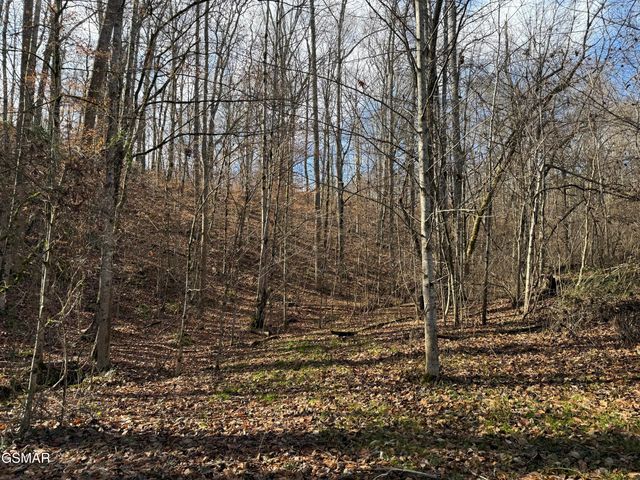 570 Red Bud Lane, Sevierville, TN 37876