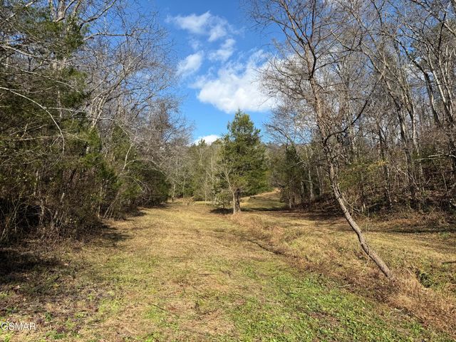 570 Red Bud Lane, Sevierville, TN 37876