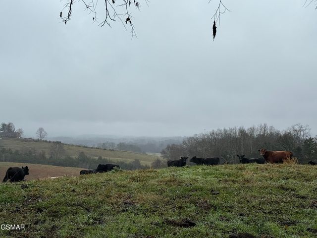 570 Red Bud Lane, Sevierville, TN 37876