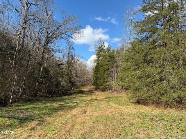 570 Red Bud Lane, Sevierville, TN 37876