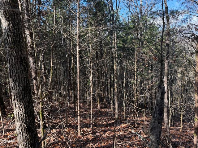 570 Red Bud Lane, Sevierville, TN 37876