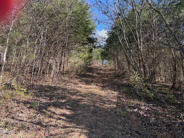 570 Red Bud Lane, Sevierville, TN 37876