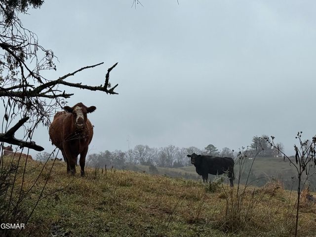 570 Red Bud Lane, Sevierville, TN 37876