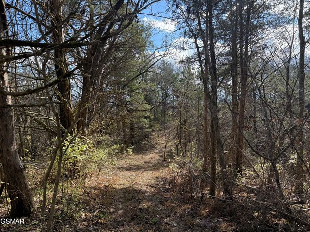 570 Red Bud Lane, Sevierville, TN 37876