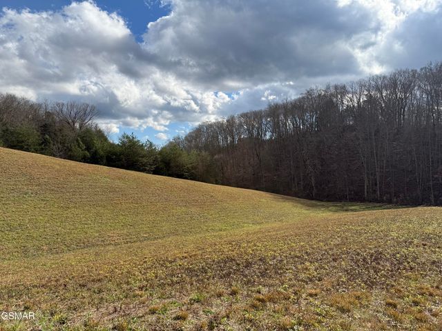 570 Red Bud Lane, Sevierville, TN 37876