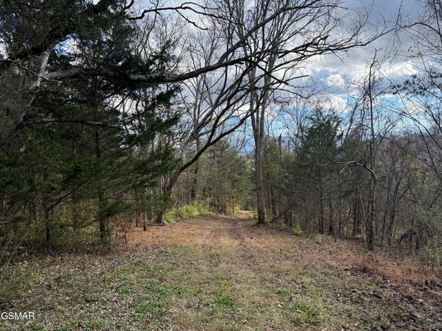 570 Red Bud Lane, Sevierville, TN 37876