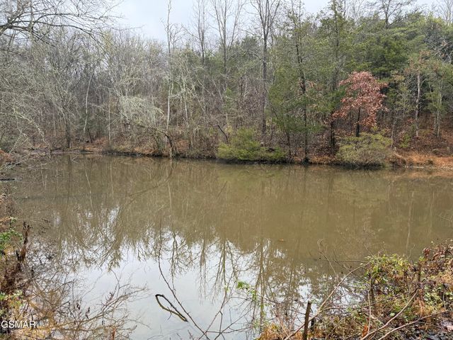 570 Red Bud Lane, Sevierville, TN 37876