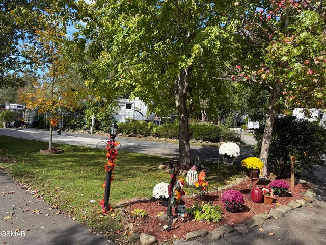 4229 E Parkway #344, Gatlinburg, TN 37738