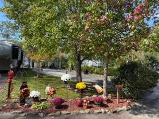 4229 E Parkway #344, Gatlinburg, TN 37738
