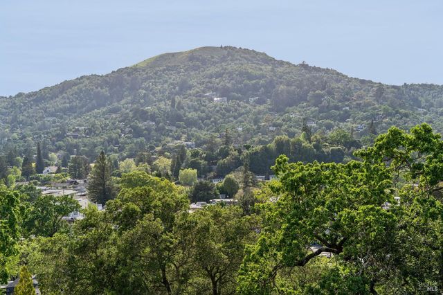 88 Lincoln Park, San Anselmo, CA 94960