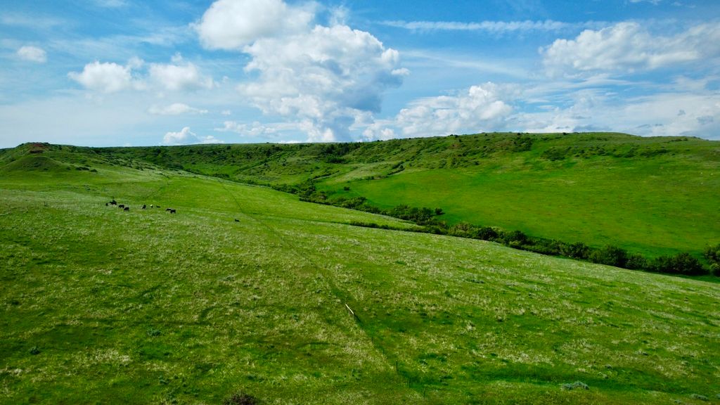 US HWY 14-16 E, Sheridan, WY 82801 photo 7