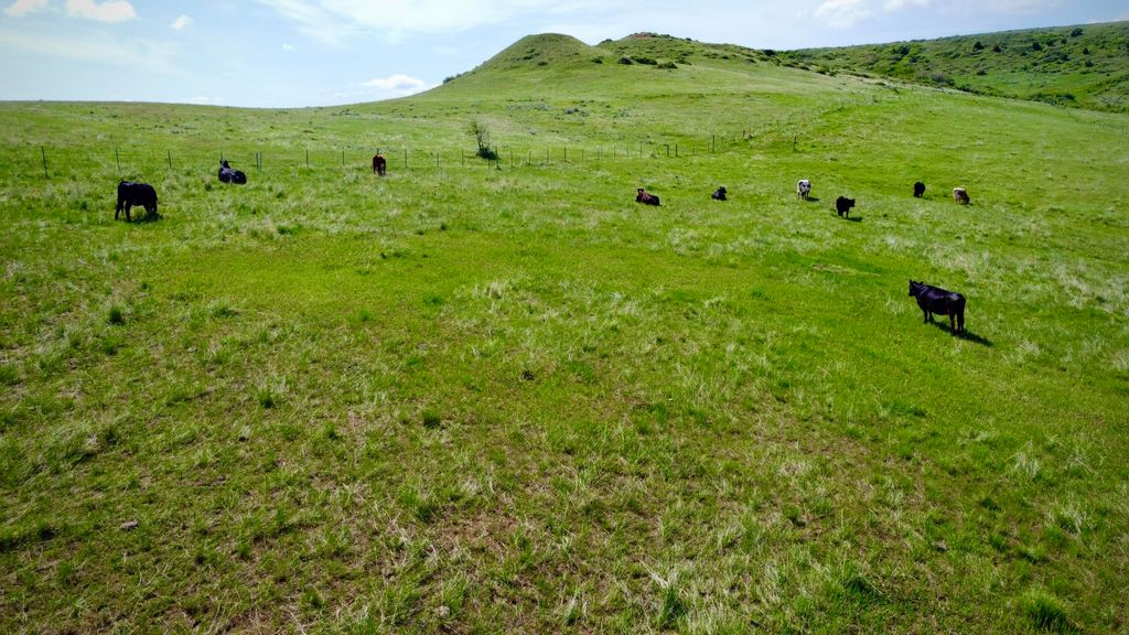 US HWY 14-16 E, Sheridan, WY 82801 photo 9