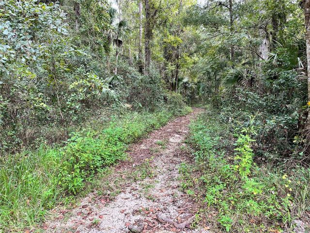 3012 NE 104TH AVENUE, Silver Springs, FL 34488