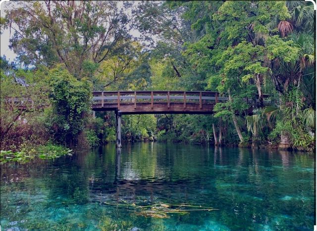 3012 NE 104TH AVENUE, Silver Springs, FL 34488