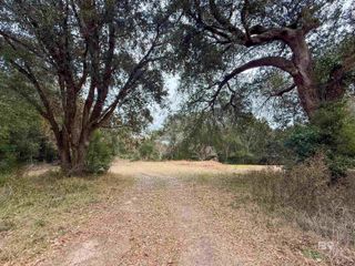 12566 County Road 49, Magnolia Springs, AL 36555