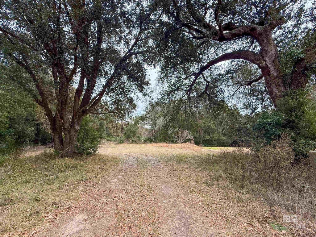 12566 County Road 49, Magnolia Springs, AL 36555