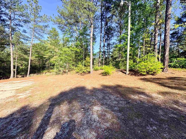 102 Caledonia Court, Leesville, SC 29070