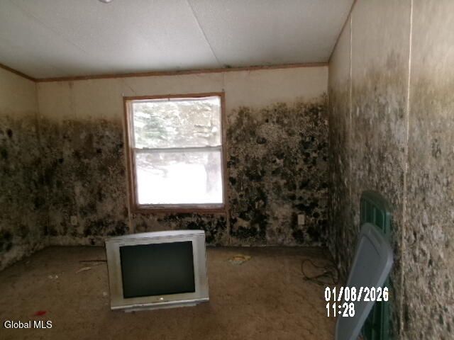 173 Beech Street, Mayfield, NY 12117