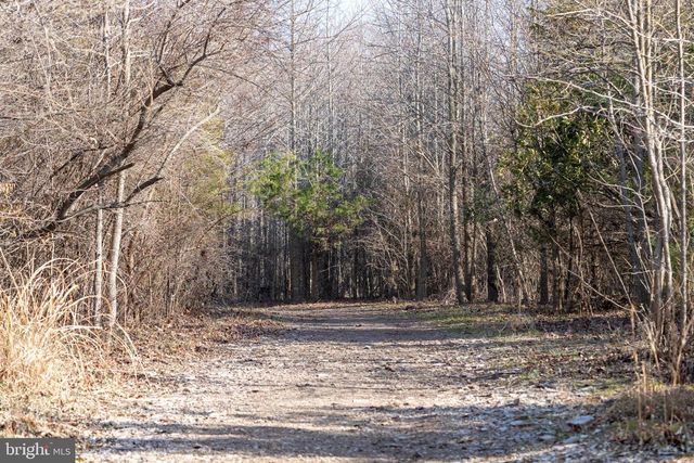 119 LIAM THOMAS LN, Stevensville, MD 21666