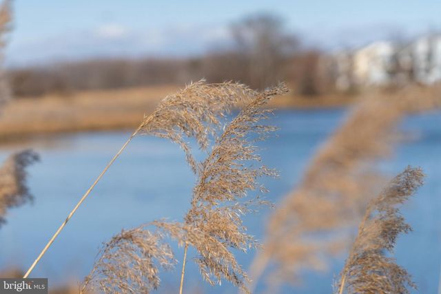 119 LIAM THOMAS LN, Stevensville, MD 21666