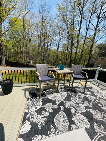 2768 Sandy Level RD, Goodview, VA 24095