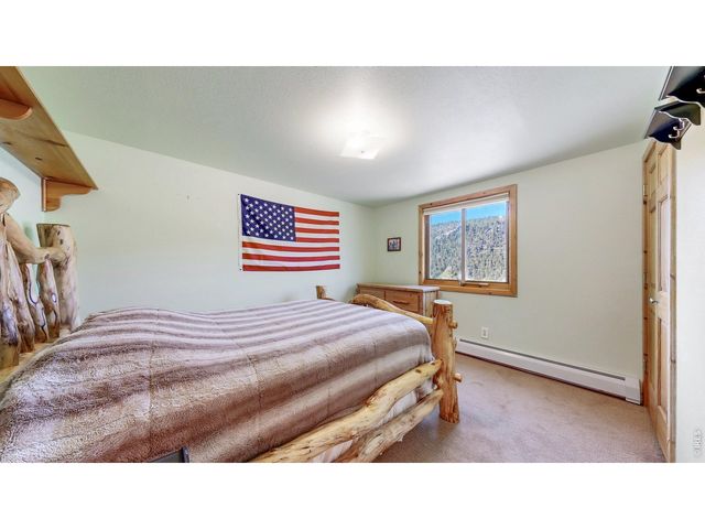 735 Castle Mountain Rd, Estes Park, CO 80517
