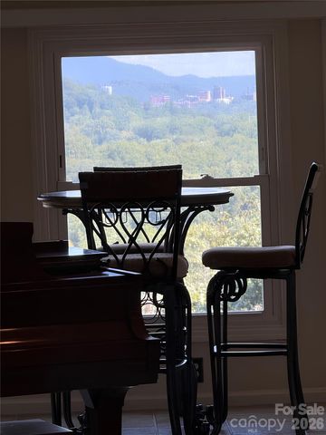 16 Audubon Drive, Asheville, NC 28804
