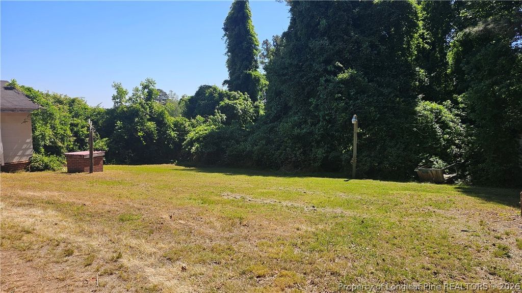 1801 Carthage Street, Sanford, NC 27330 — photo 30