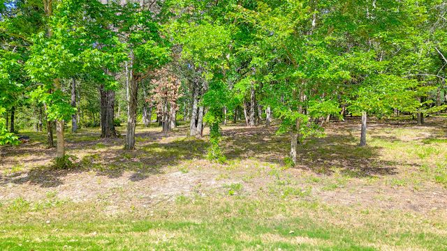 TBD Lot 333 Spur 294, Corsicana, TX 75109