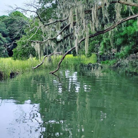 1759 Crystal Lake Drive, Charleston, SC 29412