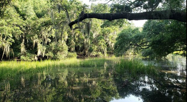 1759 Crystal Lake Drive, Charleston, SC 29412
