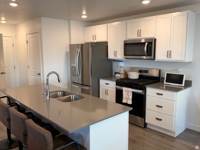 1210 S CATAIL DR, Santaquin, UT 84655