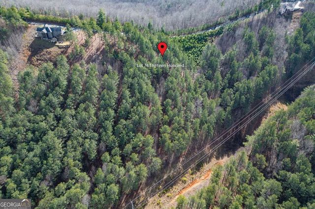 LOT 74 Thirteen Hundred 74, Blairsville, GA 30512