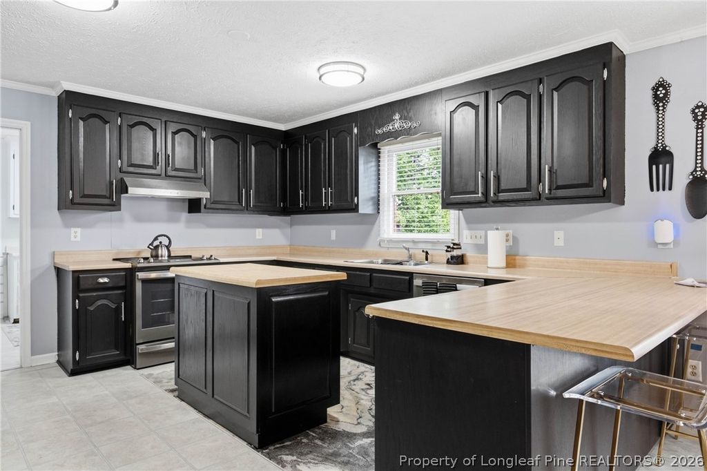 209 E Lochhaven Drive, Fayetteville, NC 28314 — photo 21