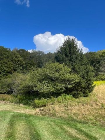 4088 County Highway 22, Walton, NY 13856