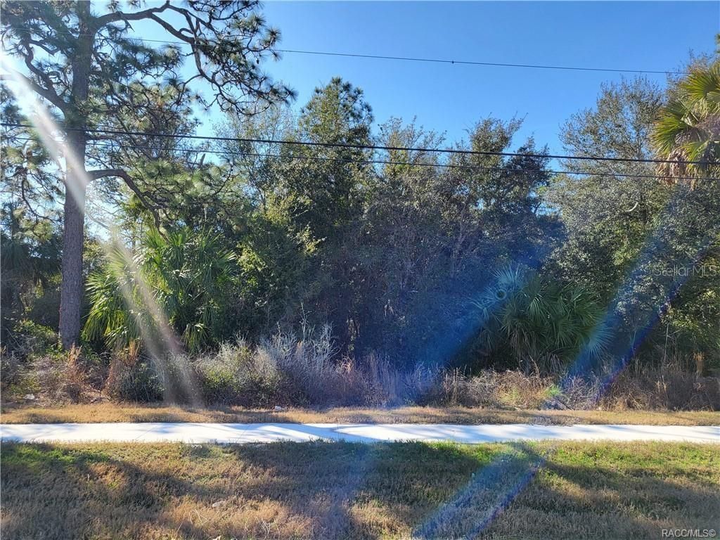 1224 S SUNCOAST BOULEVARD, Homosassa, FL 34448