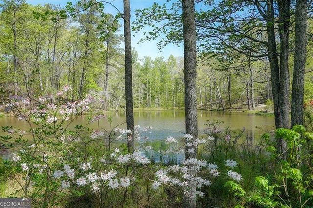 925 Ebenezer Lane, Milton, GA 30075