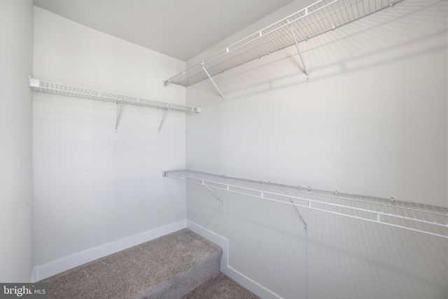 6920 BRAXTON SPRINGS WAY, Spotsylvania, VA 22553