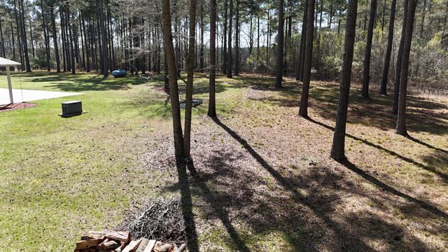 1995 Sam Nexsen Road, Summerton, SC 29148