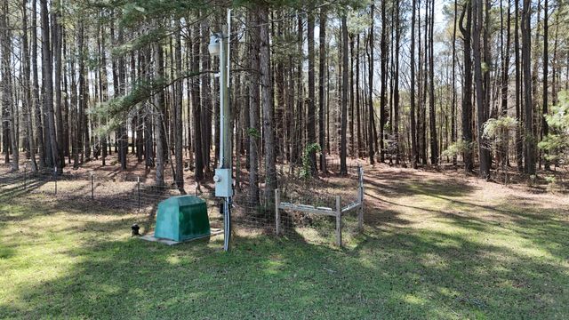 1995 Sam Nexsen Road, Summerton, SC 29148