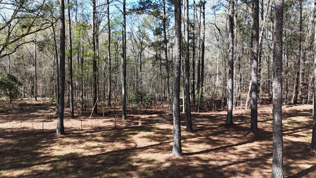 1995 Sam Nexsen Road, Summerton, SC 29148