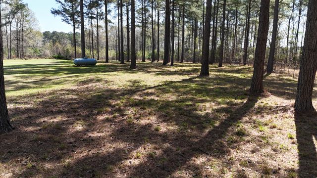 1995 Sam Nexsen Road, Summerton, SC 29148