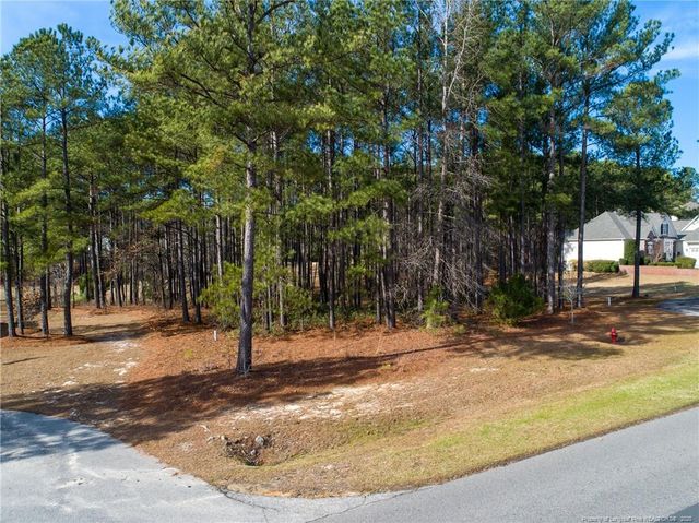 601 Anderson Creek (118) Drive, Spring Lake, NC 28390